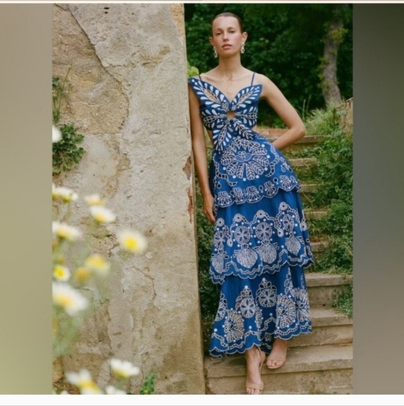 Farm Rio Blue Flowers Richelieu Maxidress - Picture 4 of 9